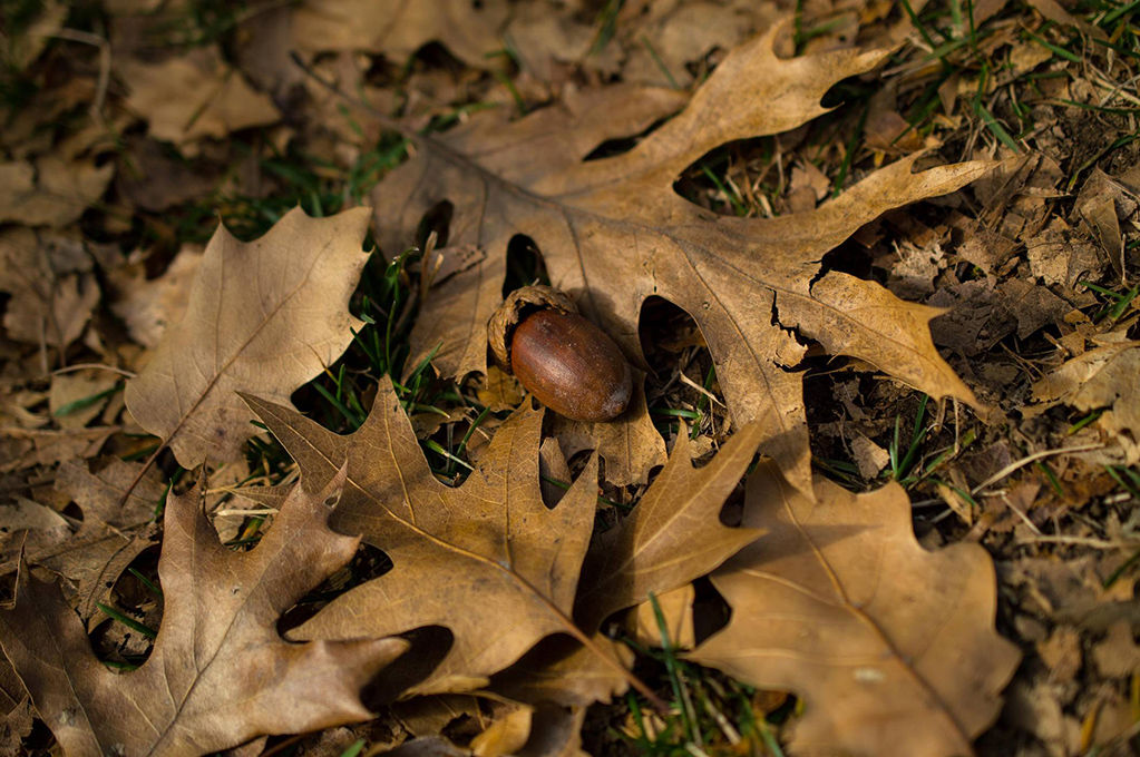 Weekly Photo Contest.